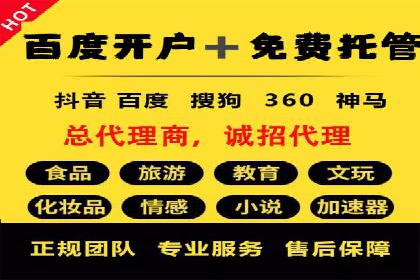 SEM投放策略：成功案例解析